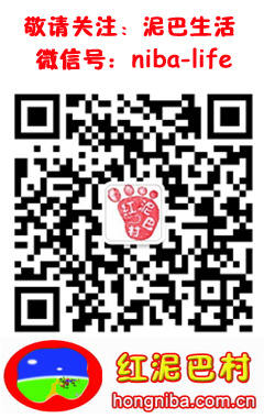 [转载]纽伯瑞金奖银奖作品比较研读
