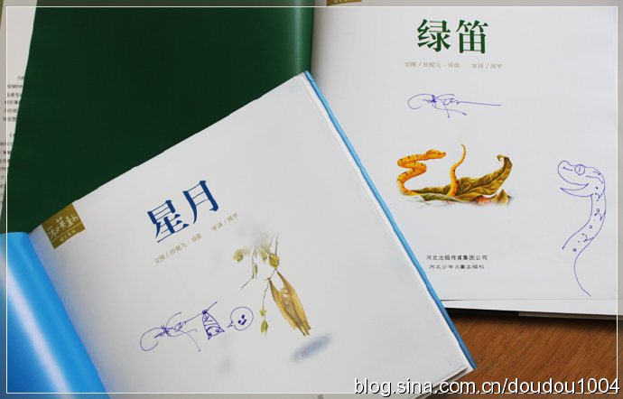 [转载]深圳回忆录之五：当东方米米遇见西方星月
