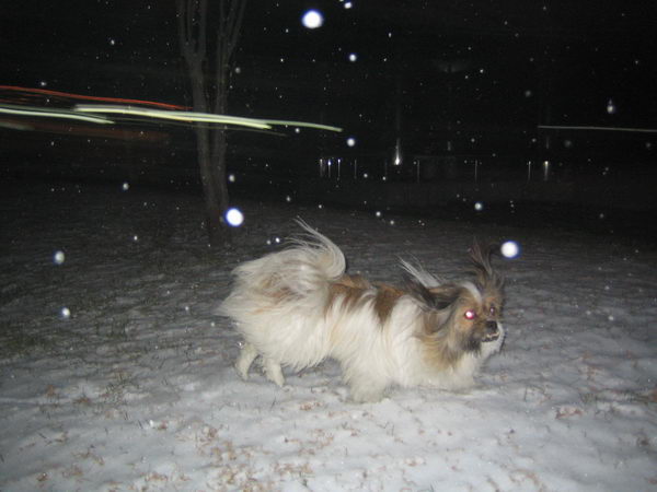 亨利在下雪天！