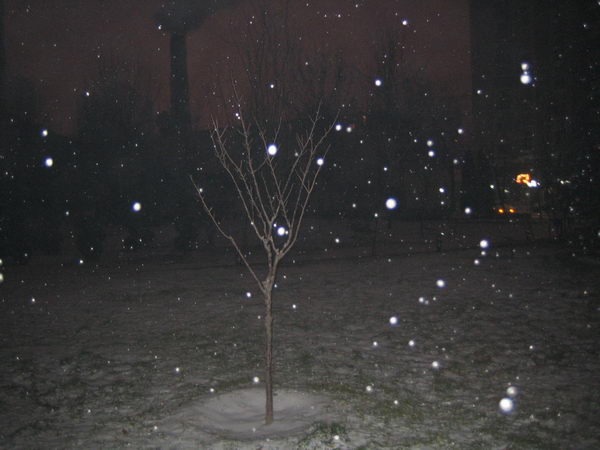 亨利在下雪天！