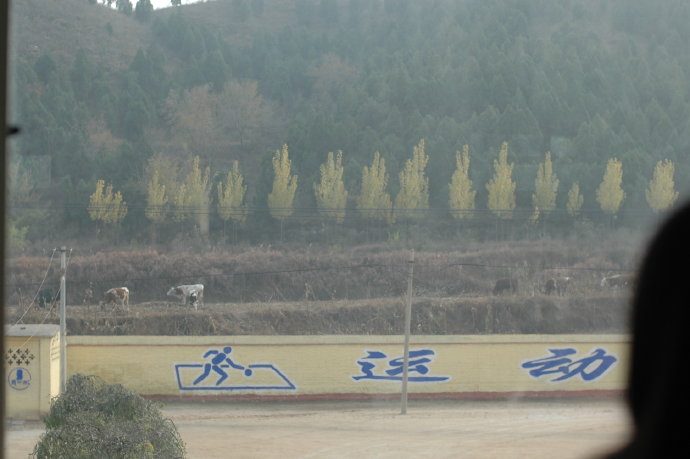 [转载]山里的秘密——绿孩子走进河北大龙华希望小学