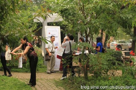 [转载]盈掌小书，再现百年优雅：比得兔下午茶会图片报道