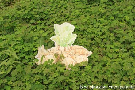 [转载]盈掌小书，再现百年优雅：比得兔下午茶会图片报道