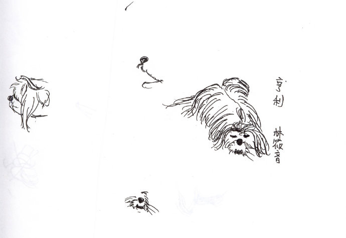[转载]筱音作业